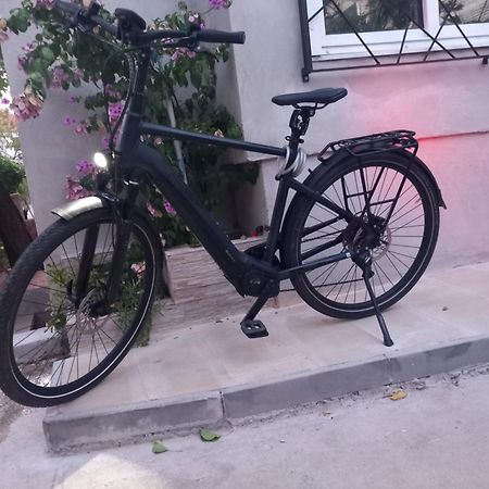 Clover Apartman Zadar Dış mekan fotoğraf